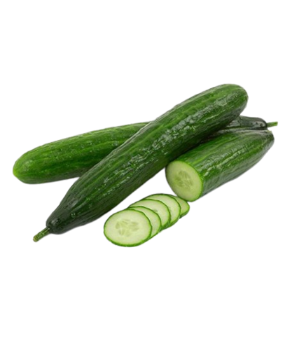 Pepino Japonês 18kg